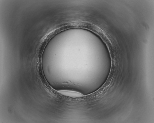 X0000113011304200908271400