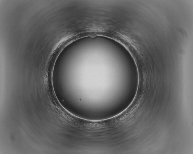 X0000113011307200908271400