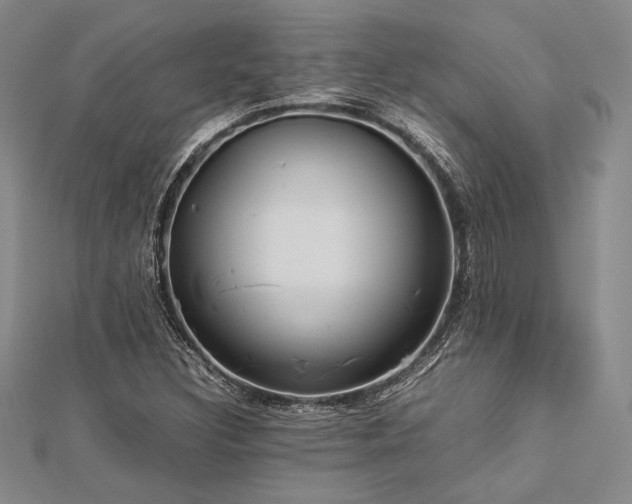 X0000113011308200908271400