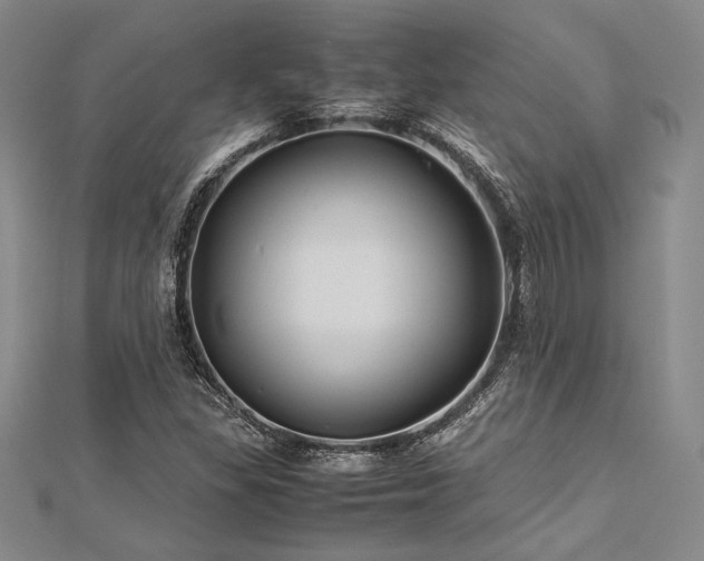 X0000113011309200908271400