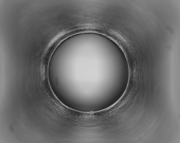 X0000113011310200908271400