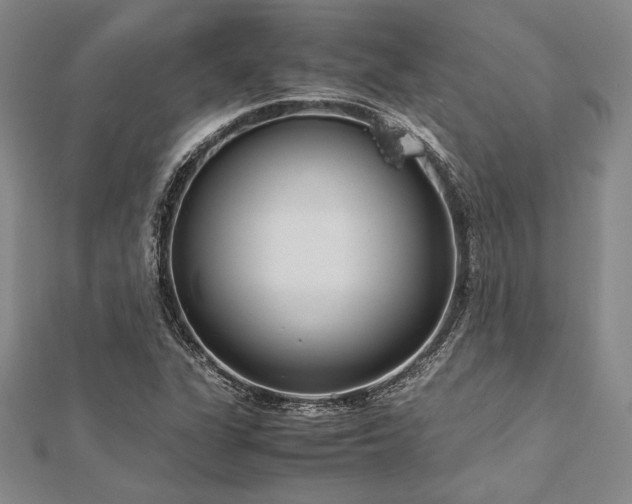 X0000113011311200908271400