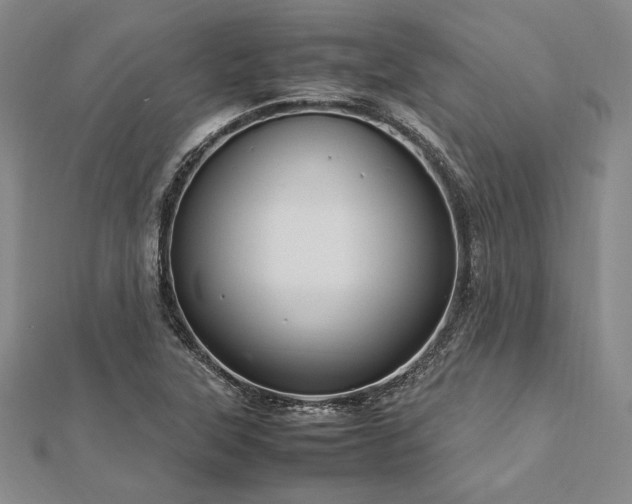 X0000113011315200908271400