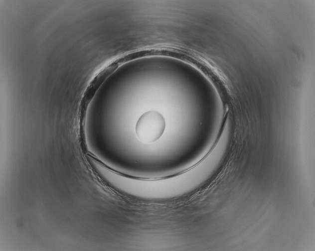 X0000113011316200908271400