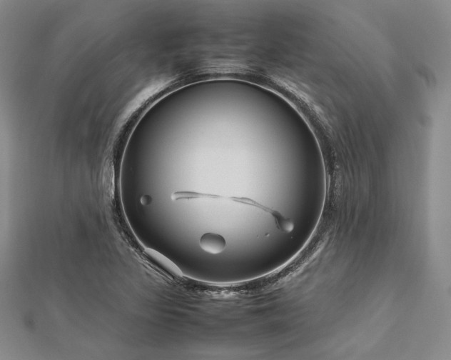 X0000113011317200908271400