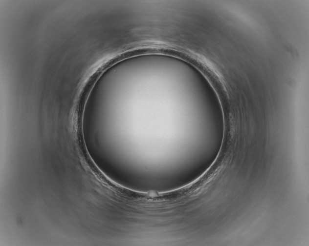 X0000113011318200908271400