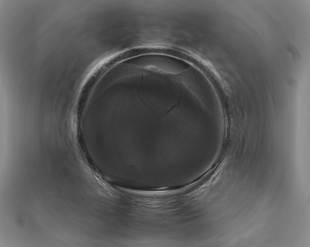 X0000113011319200908271400