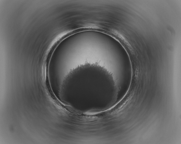 X0000113011323200908271400