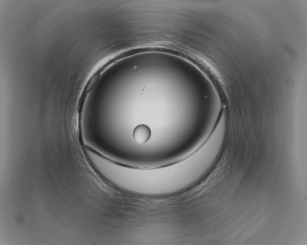 X0000113011324200908271400