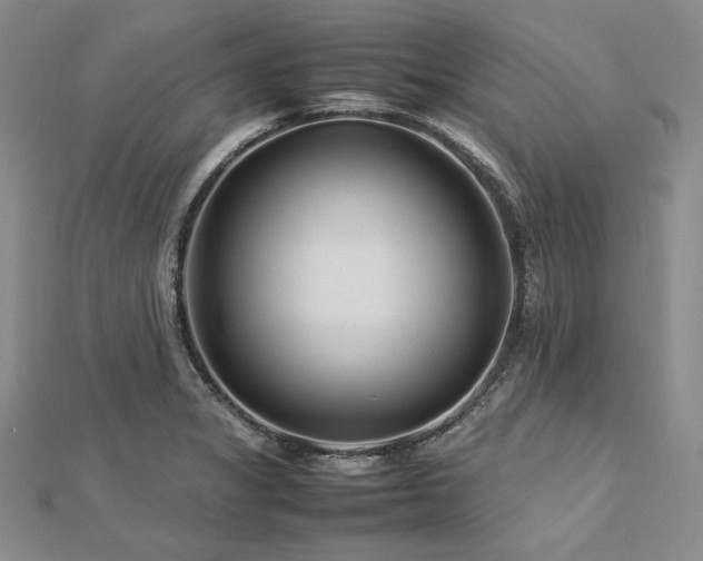 X0000113011325200908271400