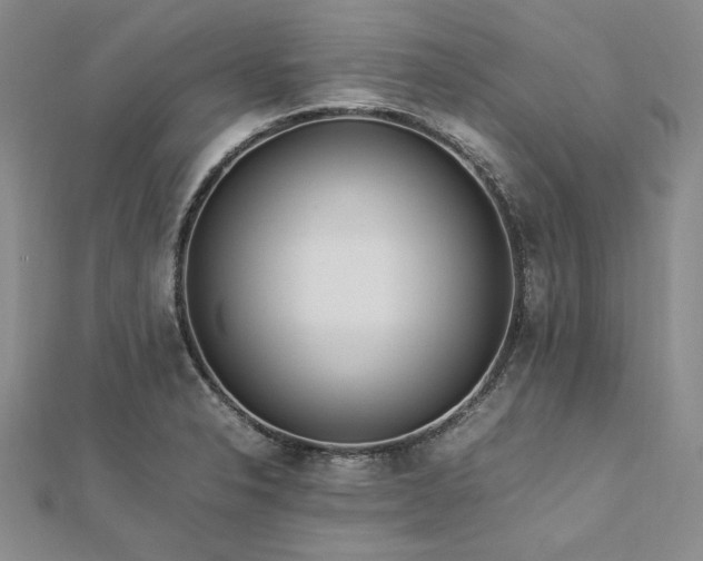 X0000113011326200908271400