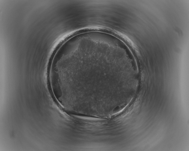 X0000113011327200908271400