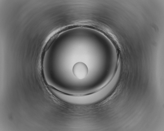 X0000113011328200908271400