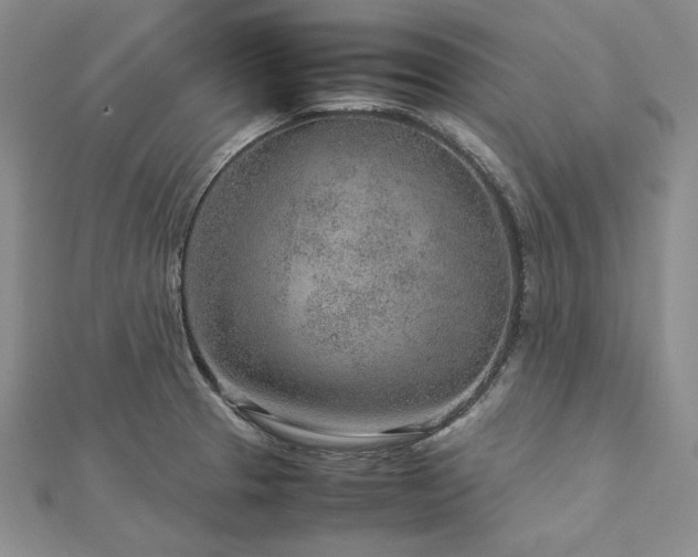 X0000113011329200908271400