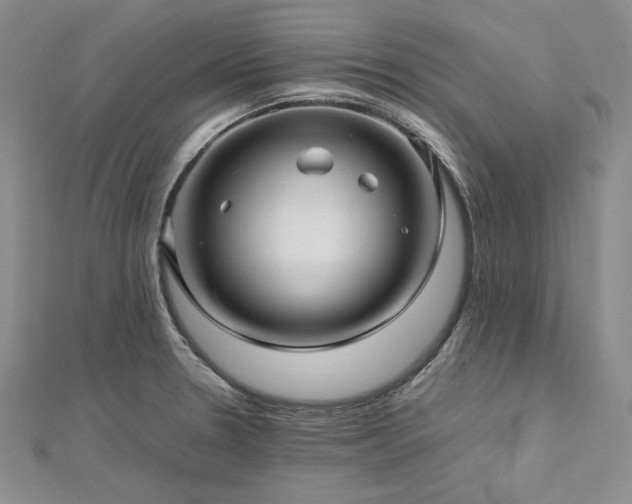 X0000113011330200908271400