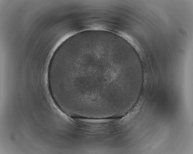 X0000113011331200908271400