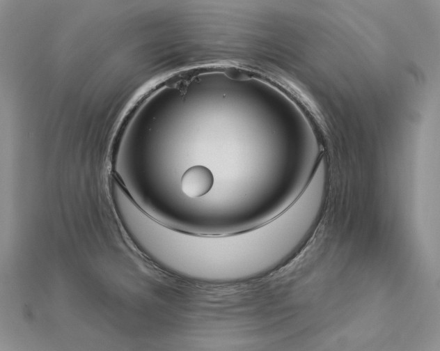 X0000113011332200908271400