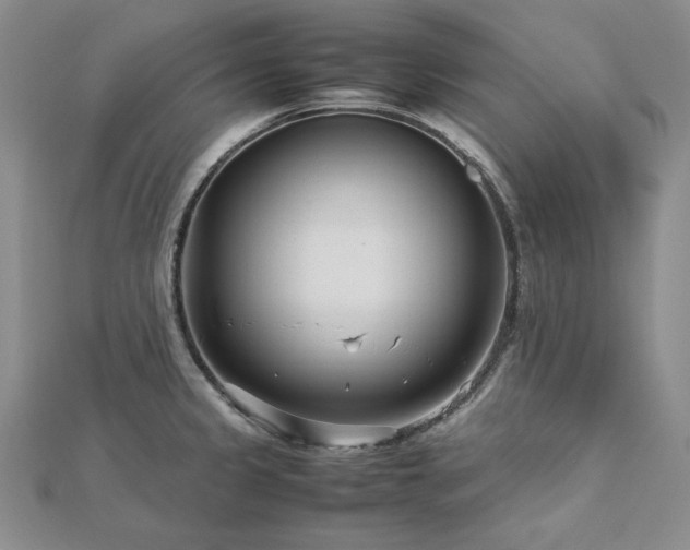 X0000113011333200908271400