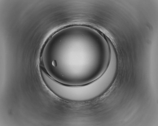 X0000113011334200908271400