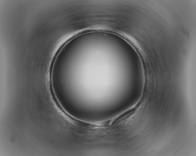 X0000113011335200908271400