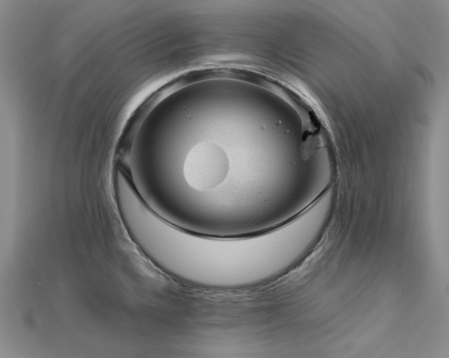 X0000113011336200908271400