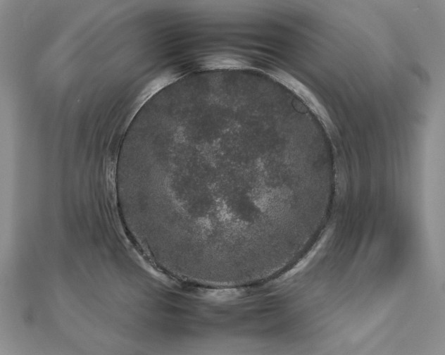 X0000113011337200908271400