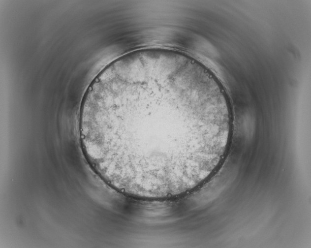 X0000113011338200908271400