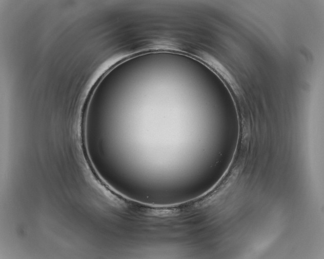 X0000113011339200908271400