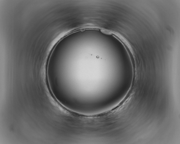 X0000113011341200908271400