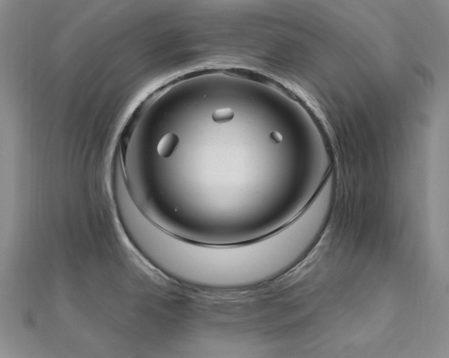 X0000113011342200908271400