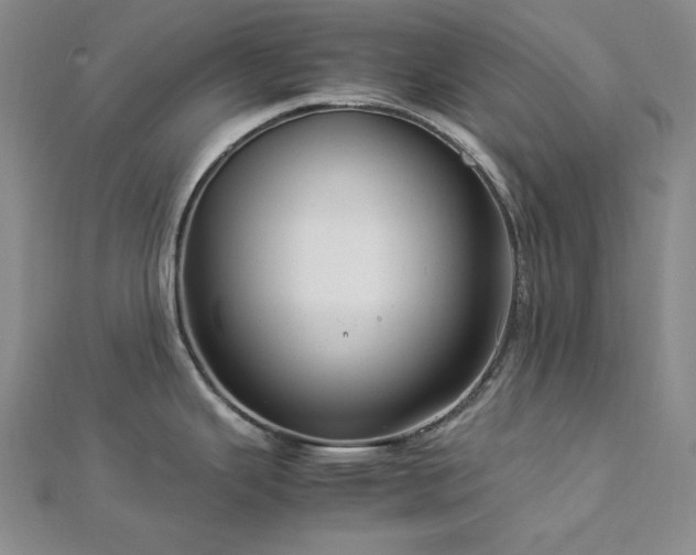 X0000113011343200908271400