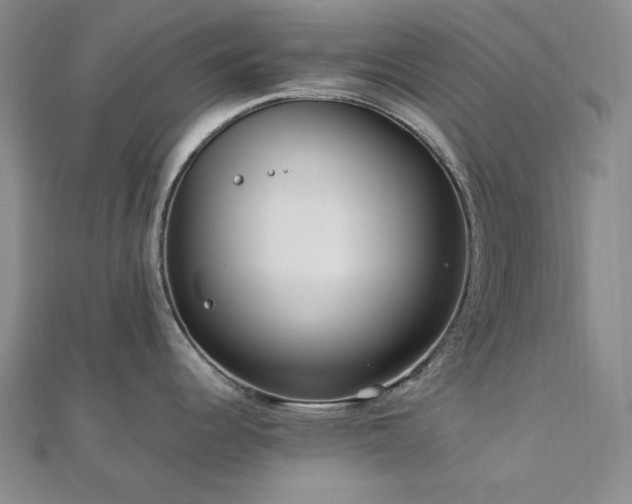 X0000113011344200908271400