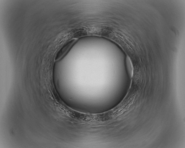 X0000113011345200908271400