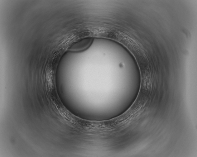 X0000113011346200908271400