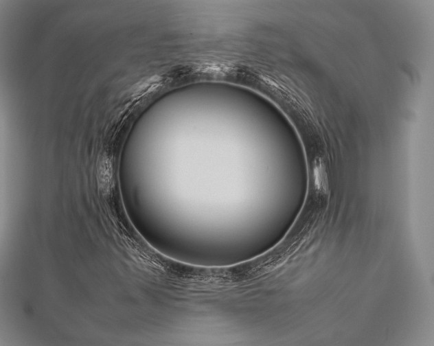 X0000113011347200908271400