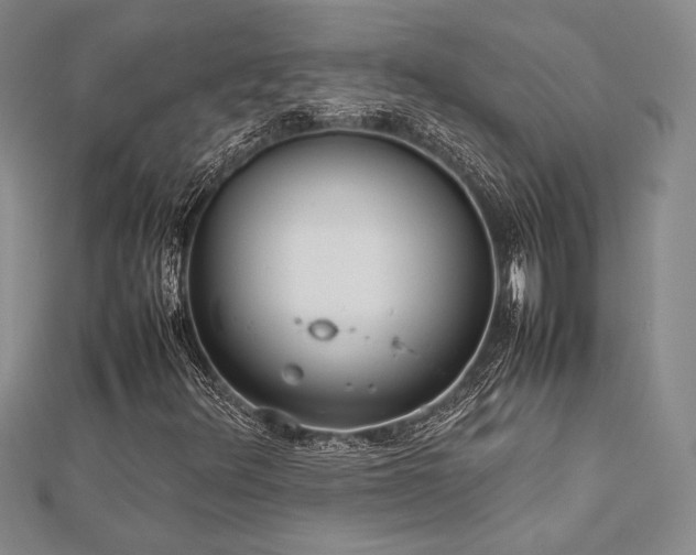 X0000113011348200908271400