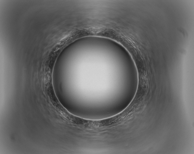 X0000113011349200908271400