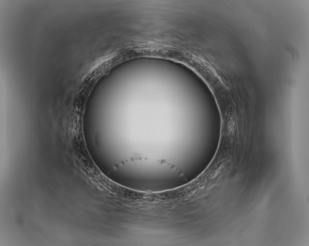 X0000113011350200908271400