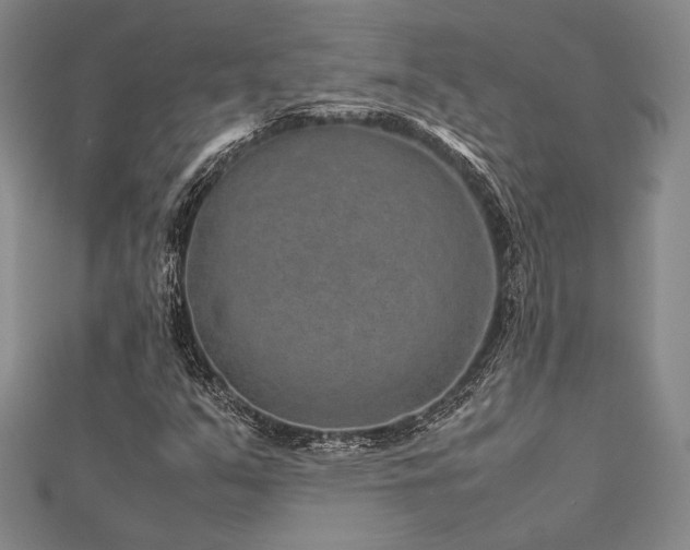 X0000113011351200908271400