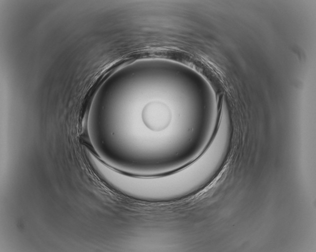 X0000113011353200908271400