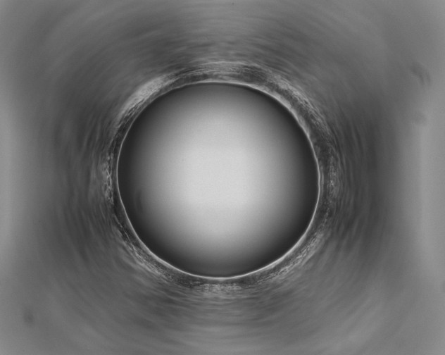 X0000113011354200908271400