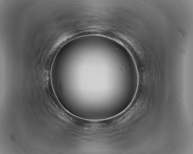 X0000113011355200908271359