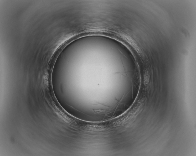 X0000113011356200908271359