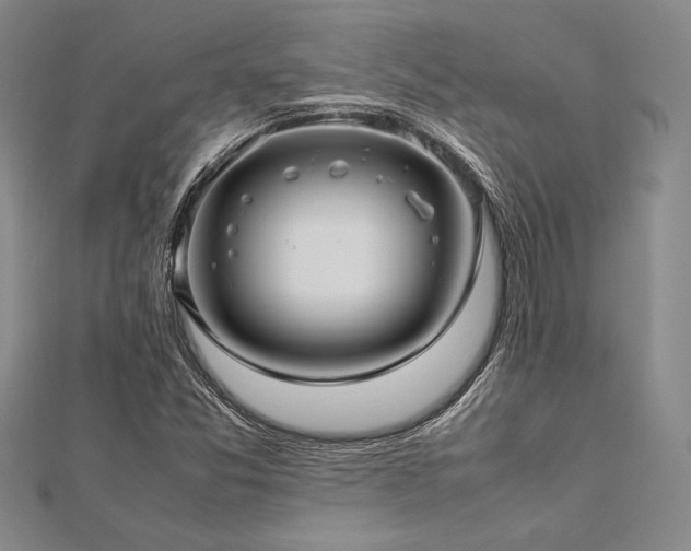 X0000113011357200908271359