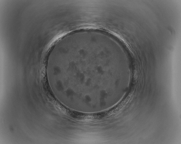 X0000113011359200908271359