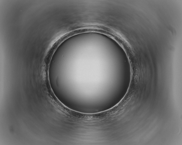 X0000113011360200908271359