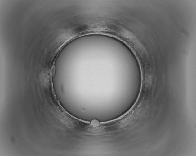 X0000113011361200908271359