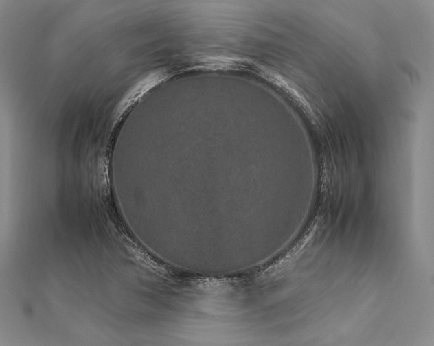 X0000113011362200908271359