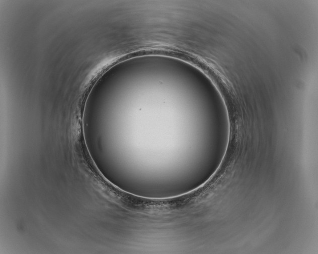 X0000113011363200908271359