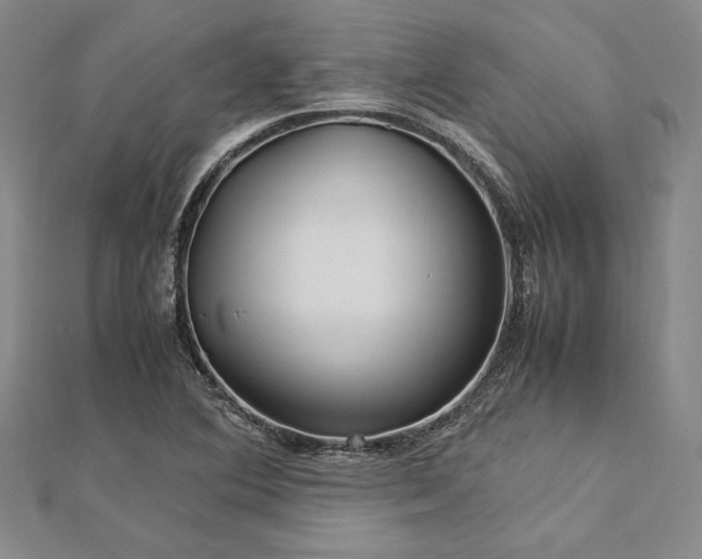 X0000113011364200908271359